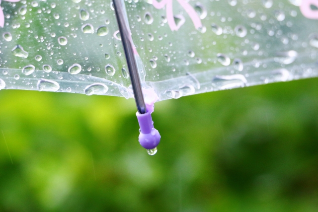 傘の先につく雨