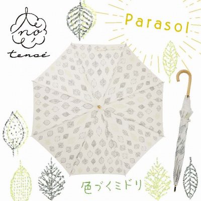 【tenoe NATURAL】レディース 晴雨兼用日傘 50cm 色づくミドリ