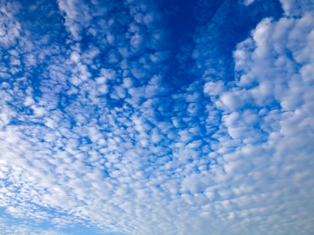 秋の空