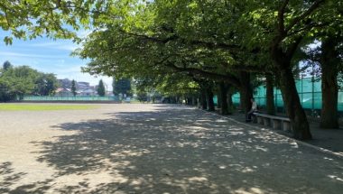 夏のスポーツ観戦や応援、公園遊びの見守りにおすすめ！紫外線・熱中症対策グッズ