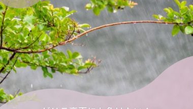 ゲリラ豪雨・大雨にも負けない！高機能で丈夫な傘Best10