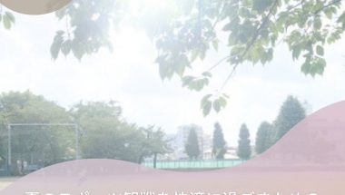 夏のスポーツ観戦を快適に過ごすためのおすすめ日傘20選