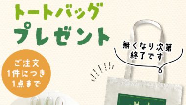 【8月9日はムーミンの日】2,200円（税込）以上のお買い上げでトートバッグプレゼントキャンペーン
