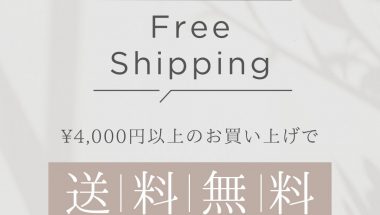送料無料キャンペーン開催（高額購入割引特典）