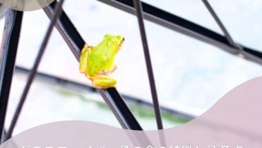 グラスファイバー骨の傘の特徴と注意点｜軽くて丈夫な傘の選び方と安全対策